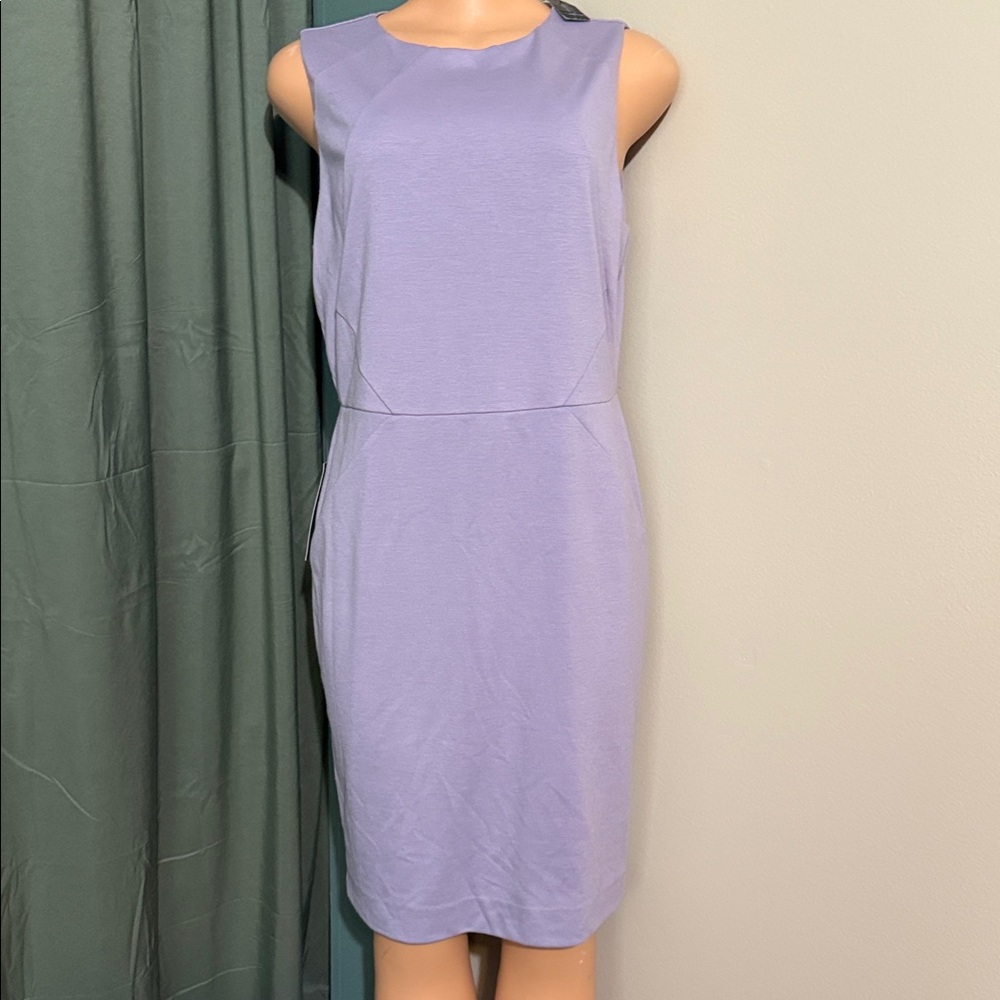 The Limited Lavender Midi Dress